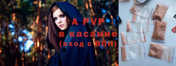 амф Вяземский