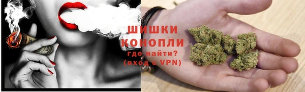 амф Вяземский