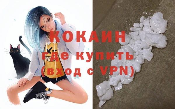 амф Вяземский