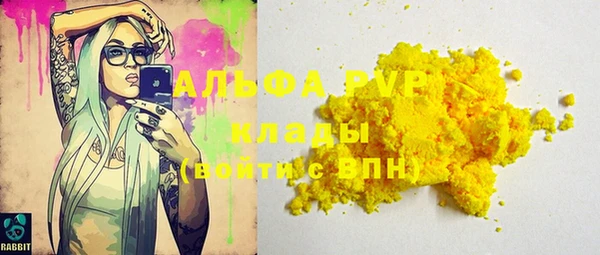 амф Вяземский