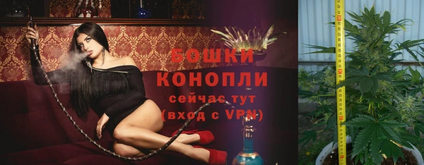 амф Вяземский